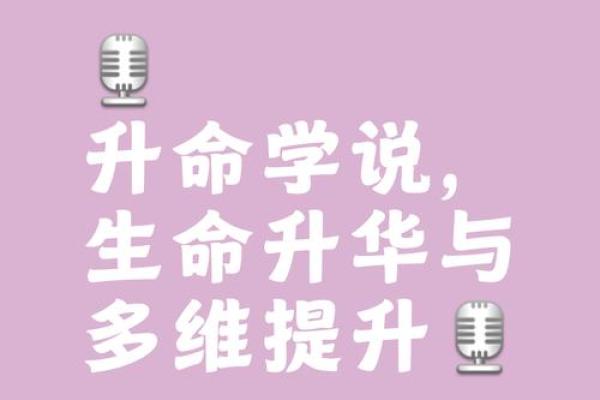 命理学中的人生意义探索：平衡与和谐的智慧之道