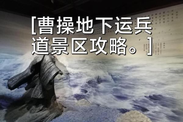 命里战兵道：洞悉人生的智慧与力量
