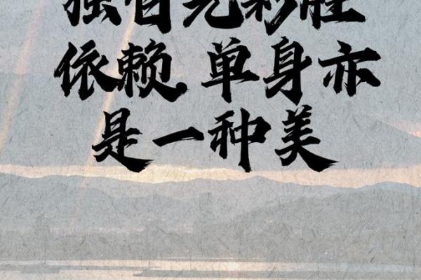 单身只影：独自一人的生活哲学与内心成长之道