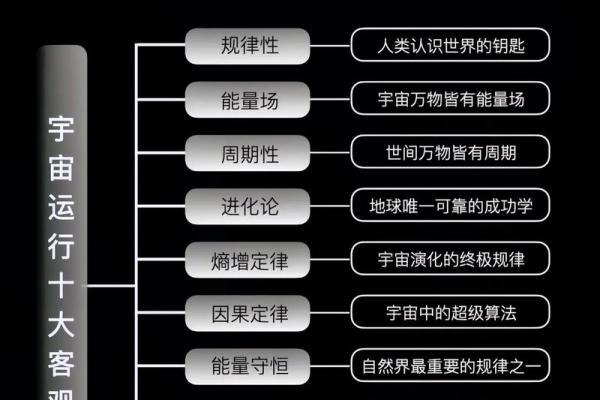 命理学中的人生智慧：探寻内心与宇宙的和谐之道