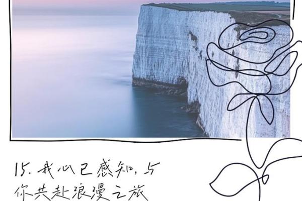 九条命都想跟你过，这份深情你懂吗？
