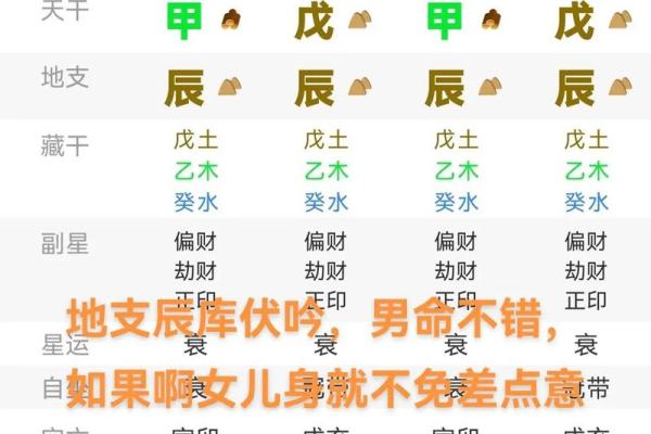 龙年8月出生的人是什么命？探索命运与性格的奥秘