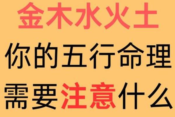 命局五行系统揭秘：如何通过五行了解你的命运与个性