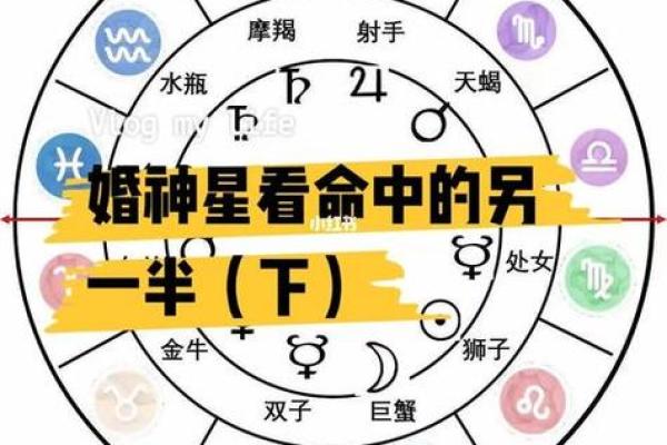 女生的命格解析：揭示她们命理背后的秘密与运势