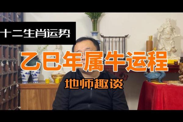 深入揭秘：属牛人的命理与运势解析