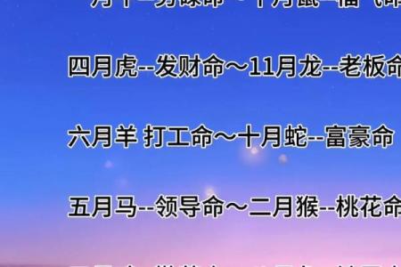 来测一测你是什么命,揭开命运密码的神秘面纱!