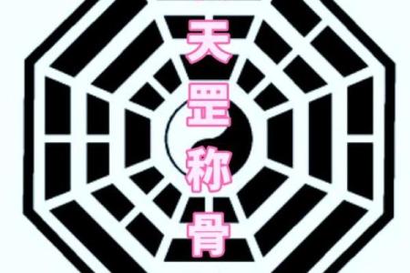 魈的六命变化解析：从仙人到斗士的华丽蜕变