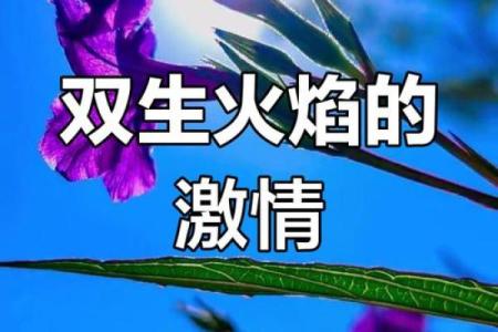 女火命与男土命的天作之合：探寻火土相生的和谐美好