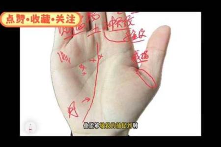 揭秘手中螺纹：女性的命运与智慧之结合