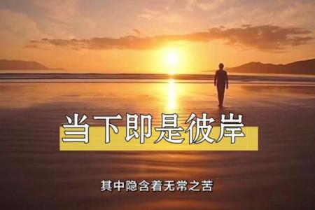 命理学中的人生智慧：探寻内心与宇宙的和谐之道