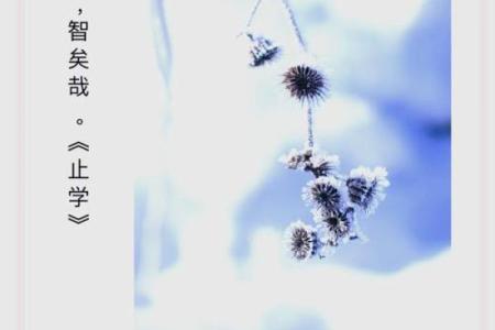 命里缘浅,缘分无常:探讨命运与人际关系的奥秘