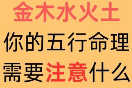 命局五行系统揭秘：如何通过五行了解你的命运与个性