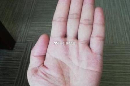 手相揭秘:双妻命的奥秘与启示