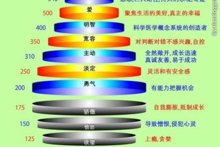 葵水命与其他命理的完美结合:寻找生命的平衡与和谐