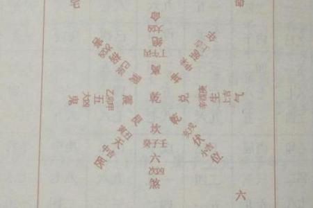 探秘坤命属西四命：命理与人生的深刻关系