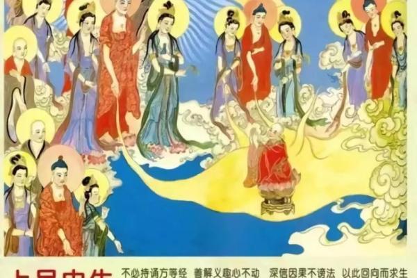 命理九朵莲花：揭示人生的智慧与幸福之源
