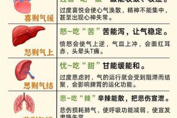 动与静：命理中的繁华与宁静探秘