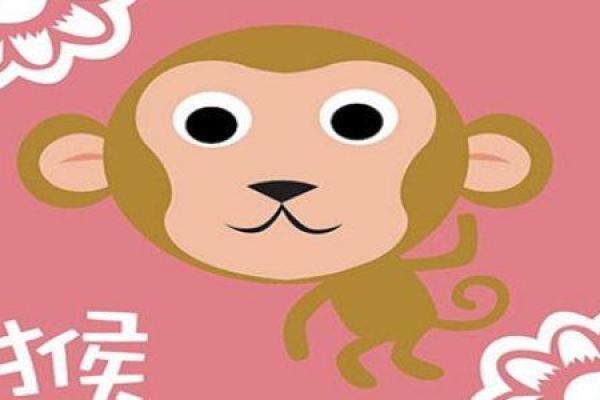 六十七岁属猴的命运解析：智慧与勇气的结合之旅
