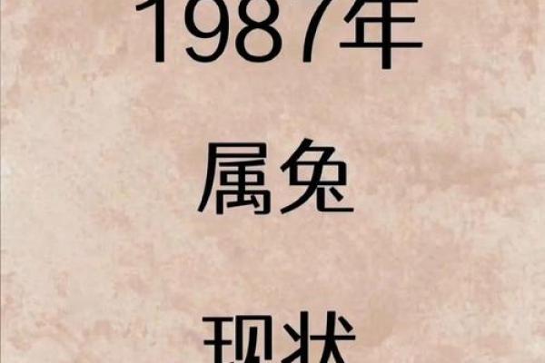 1975年属兔的命运分析：解读兔年人的人生旅程与智慧