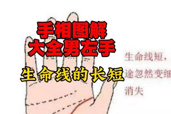 通过左手手相解析你的命运与人生轨迹