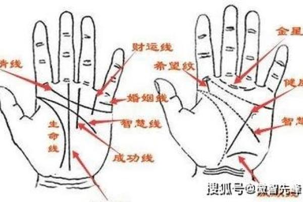 通过左手手相解析你的命运与人生轨迹