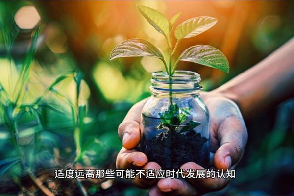 农历七月十四：属于你的命运解析与人生指南