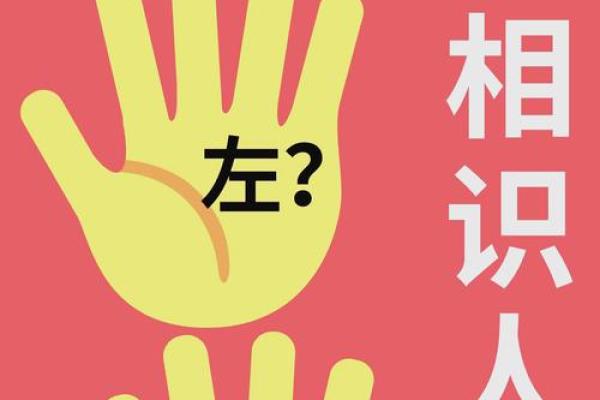 女人手相三条线的奥秘：掌握命运的指引与启示