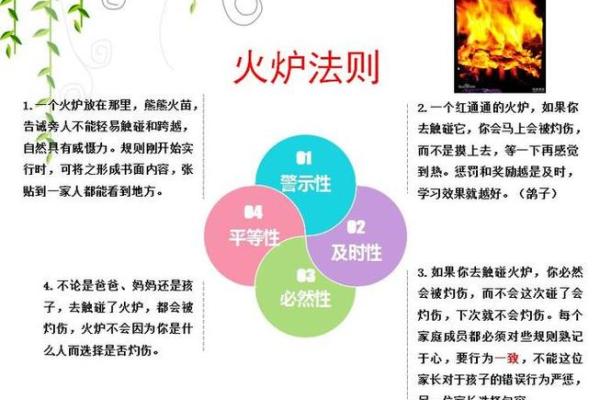 炉中火命：探秘阳光下的生命能量与智慧