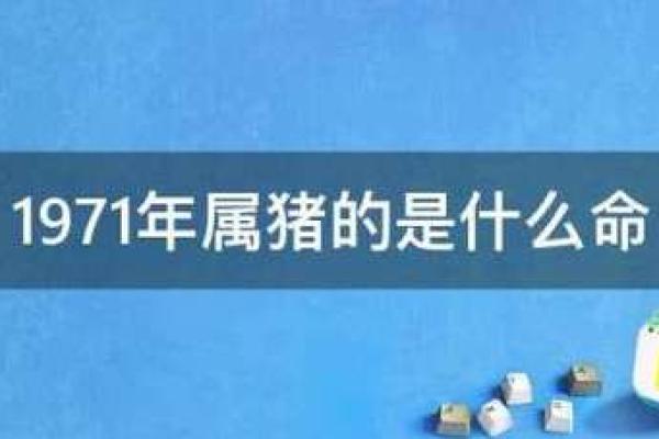 探秘男人堂：解析“马”命的独特魅力与性格特征