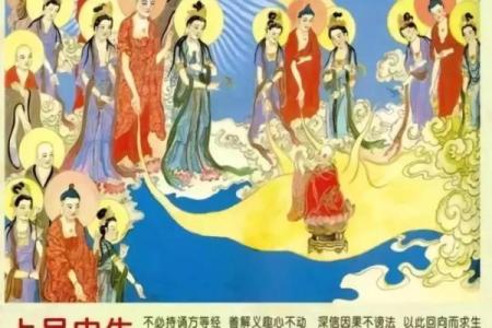 命理九朵莲花：揭示人生的智慧与幸福之源