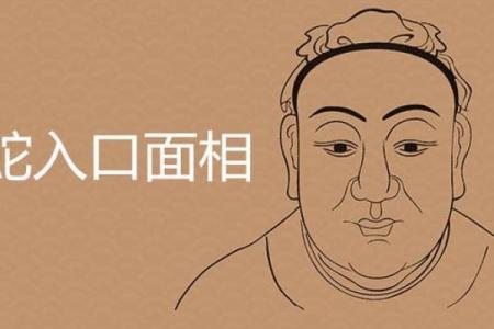 解读命理中的腾蛇命：神秘而独特的命运之旅
