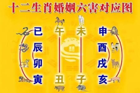 男命八字中妻子的象征字，解密命理之美！