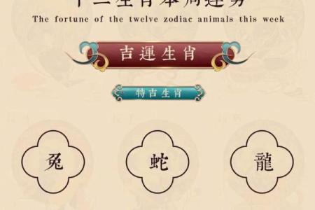 探寻九条命的生肖之谜