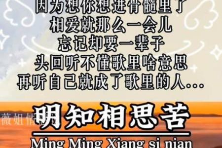 拼了命想念你的歌声,响彻心间的旋律