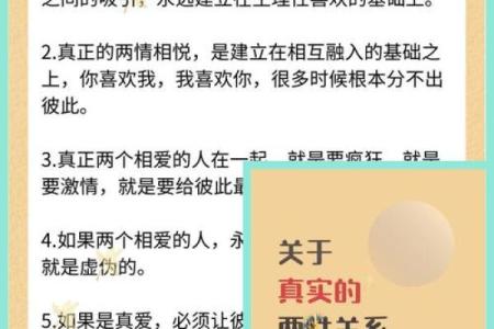 偏生一条痴情命,爱与命运交织的故事