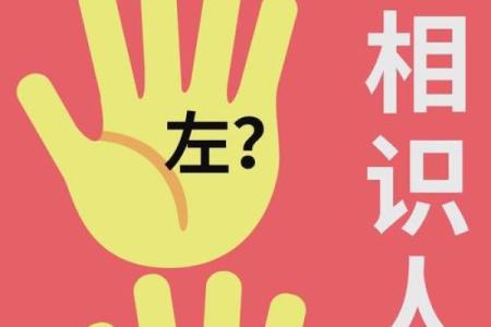 女人手相三条线的奥秘：掌握命运的指引与启示