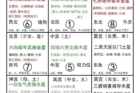 男火命与女金命的奇妙结合:命理与爱情的交融之道