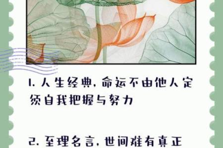 居易俟命:主动迎接命运的智慧与生活哲学