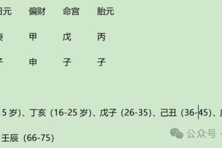 孔子的命格:智慧与仁爱的完美结合