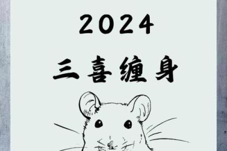 探秘九六年属鼠人的命理与人生密码