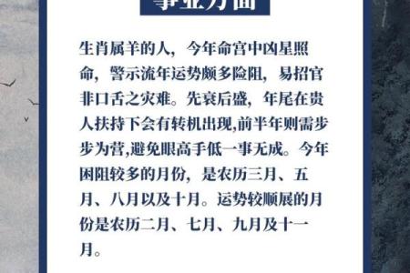 六七年属羊的人命运解析:财富、爱情与事业的多元探索