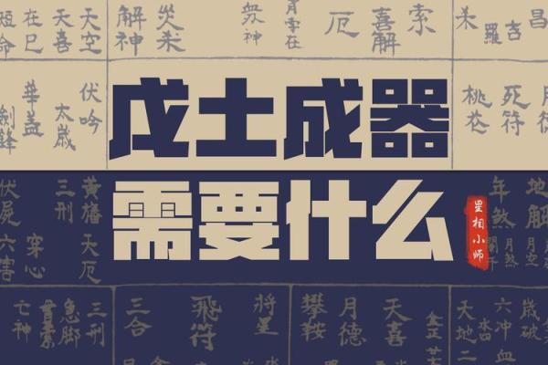 龙沙中土命：解密天地之中，挖掘命理奥秘
