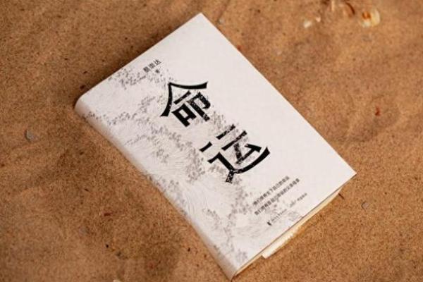 如何改变命运：探讨“蘑菇命”的深层含义与转变之道