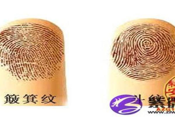 探秘命理：没有一个簸箕是什么命格？深度解读命理与人生启示