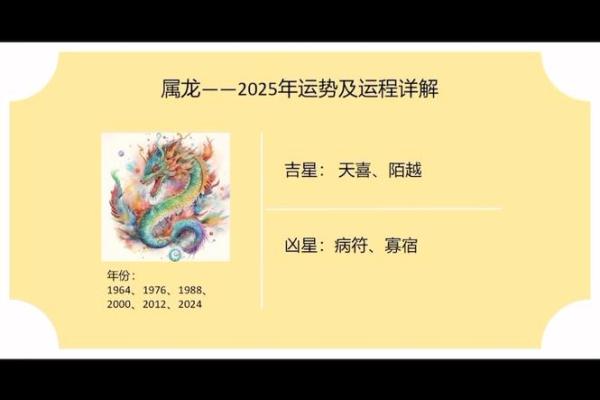 龙的命运：如何在生活中发挥龙的优势与潜能