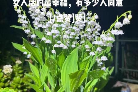 命好的女人有什么标志，她们的幸福人生秘诀揭晓！