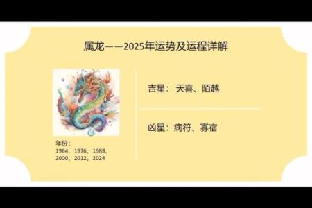龙的命运:如何在生活中发挥龙的优势与潜能