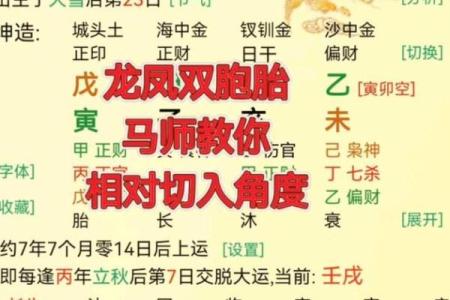 龙凤命与鸳鸯命的区别:命理中爱情与配对的深度解析