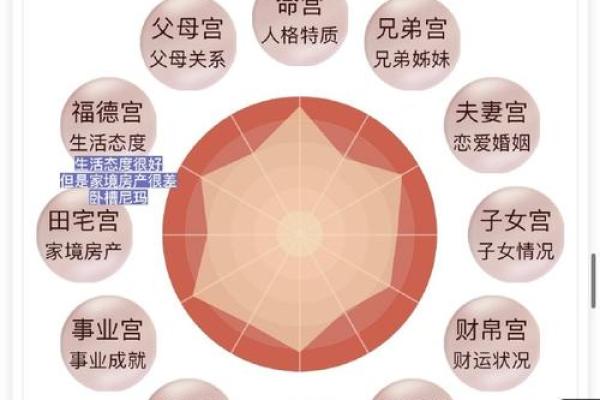 男子命里带双官：探秘命理中的双官星象关系