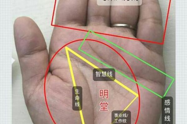 看手相揭秘：金命的神秘特征与性格解析